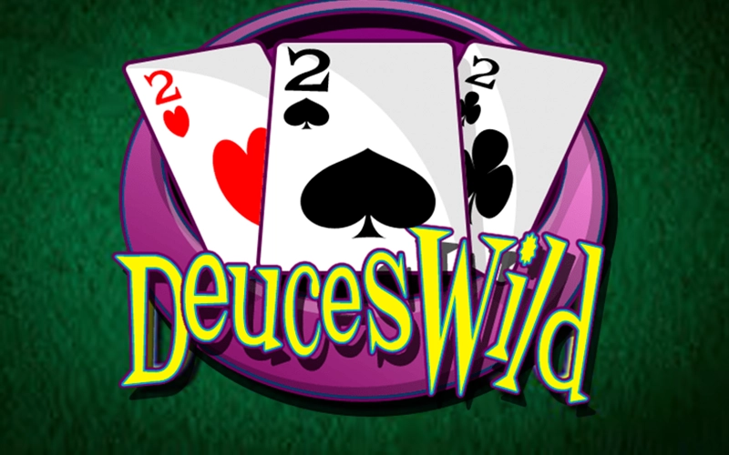 Cardplayer.com